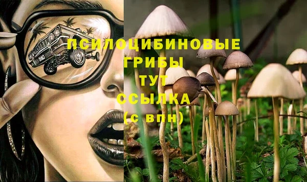 наркотики Абинск