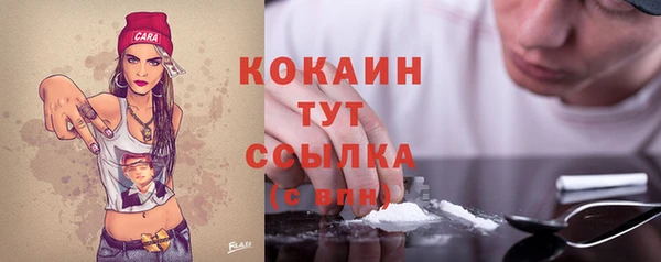 соль ск Абаза