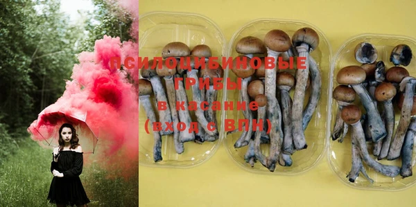 PSILOCYBIN Абдулино