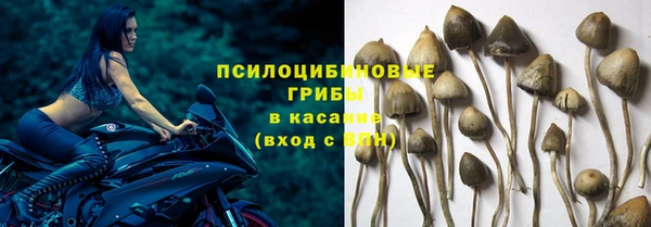 прущий лед Осташков