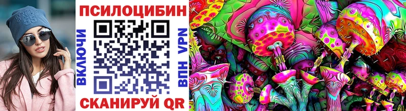 Галлюциногенные грибы MAGIC MUSHROOMS  купить  сайты  Болотное 